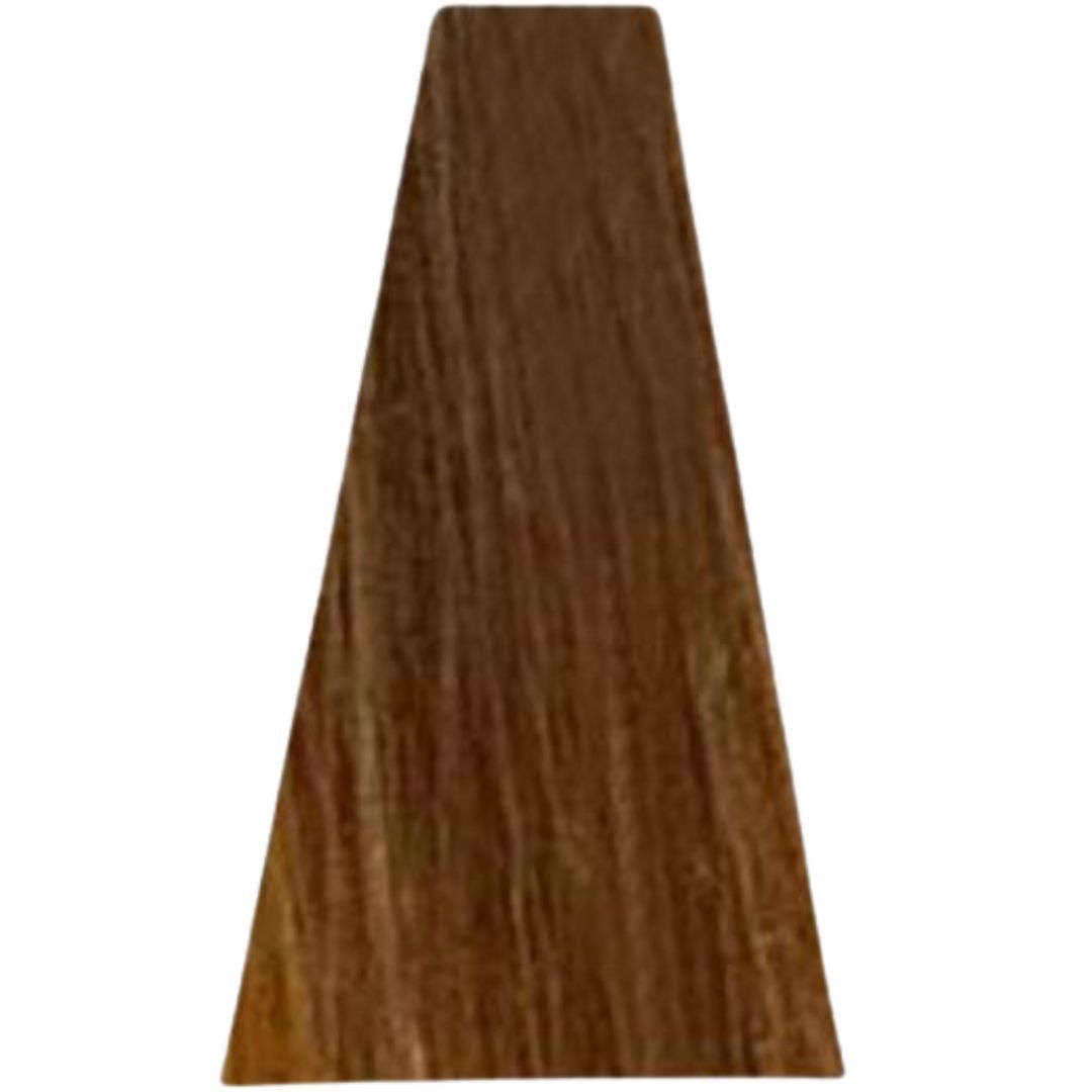 צבע שטיפה לשיער מס' 9.13 דיה קולור Loreal Dia Color לוריאל 60 מ"ל צבע שטיפה לשיער מס' 9.13 דיה קולור Loreal Dia Color לוריאל 60 מ"ל