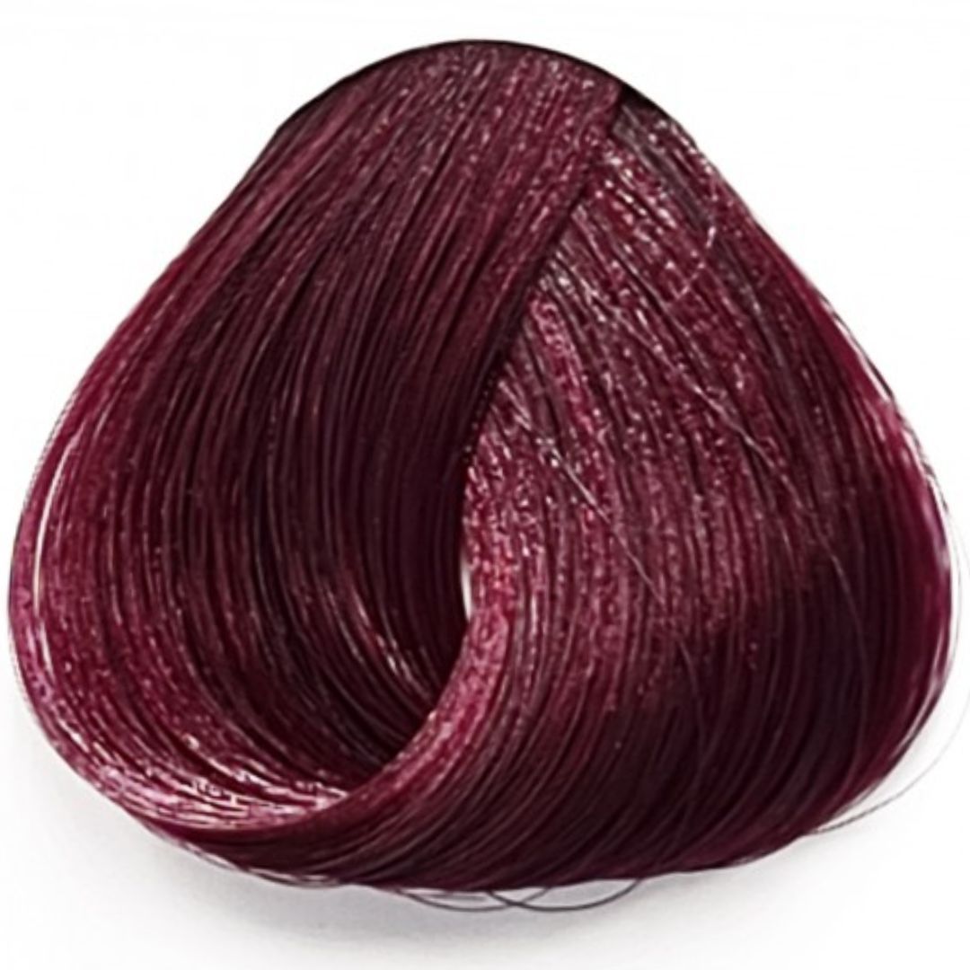 דארק טוליפ Dark Tulip לה ריץ' La riche דארק טוליפ Dark Tulip לה ריץ' La riche