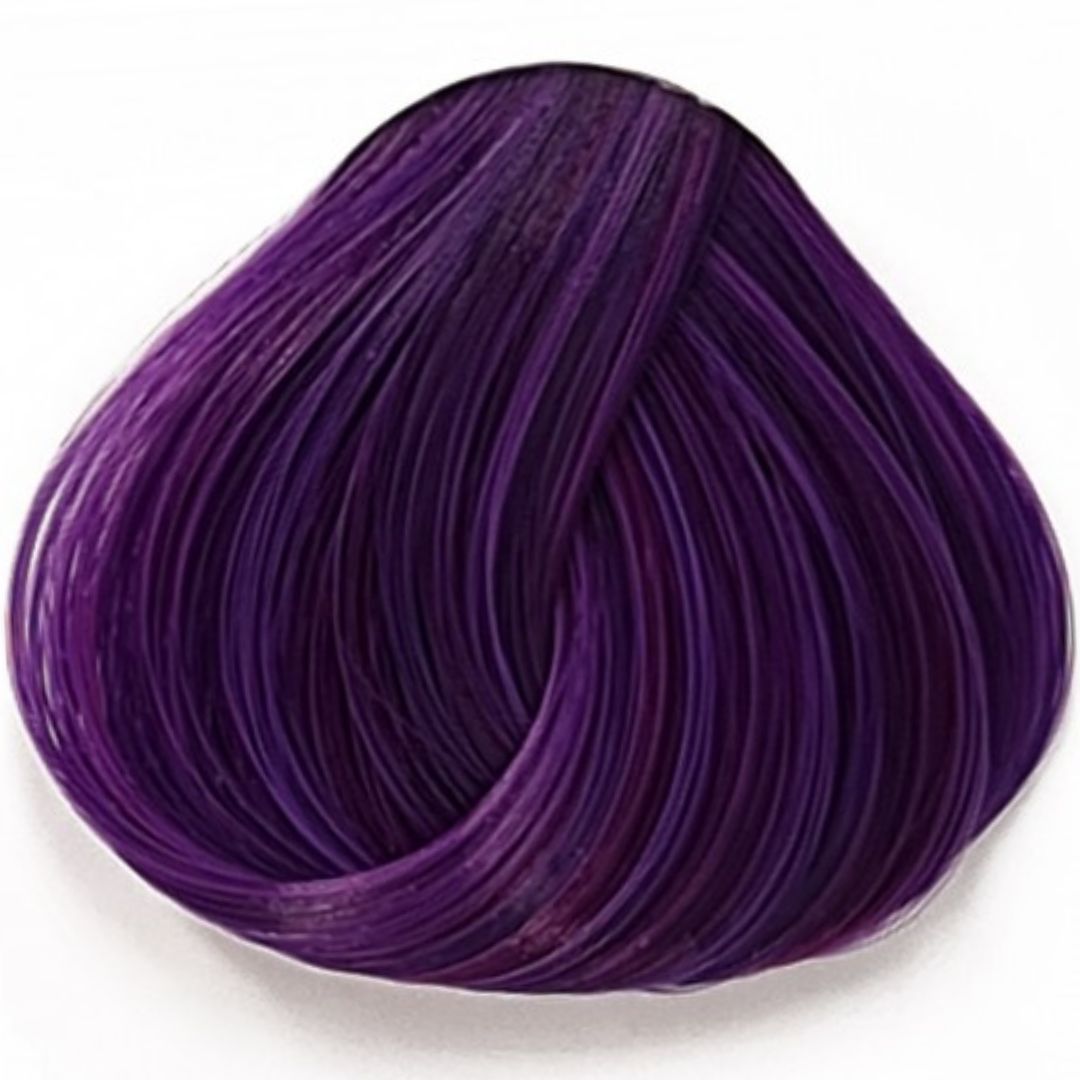 ויולט Violet לה ריץ' La Riche ויולט Violet לה ריץ' La Riche