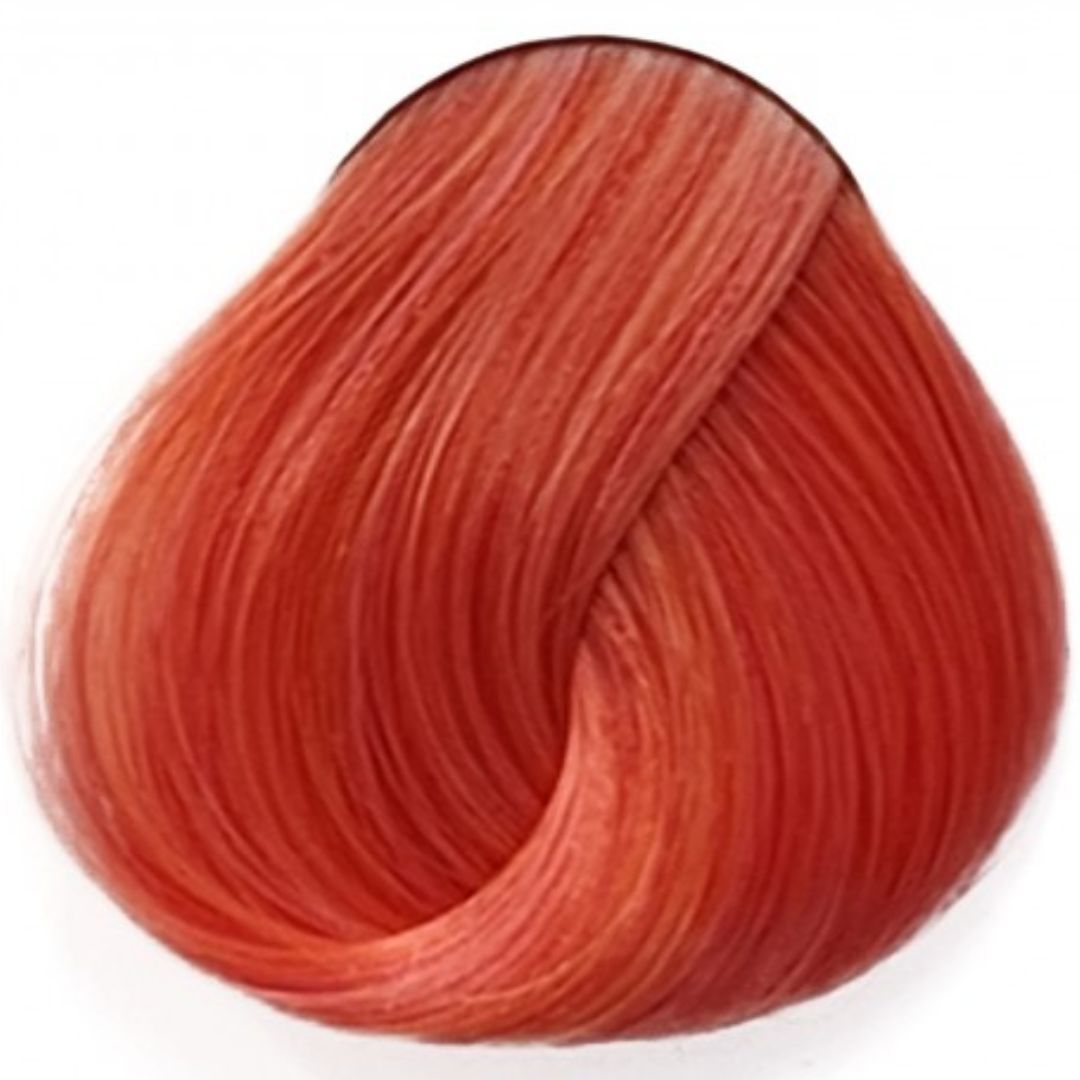 אפרסק Peach לה ריץ` La Riche אפרסק Peach לה ריץ` La Riche