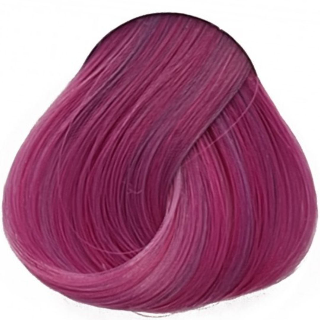 לבנדר Lavender לה ריץ` La Riche לבנדר Lavender לה ריץ` La Riche