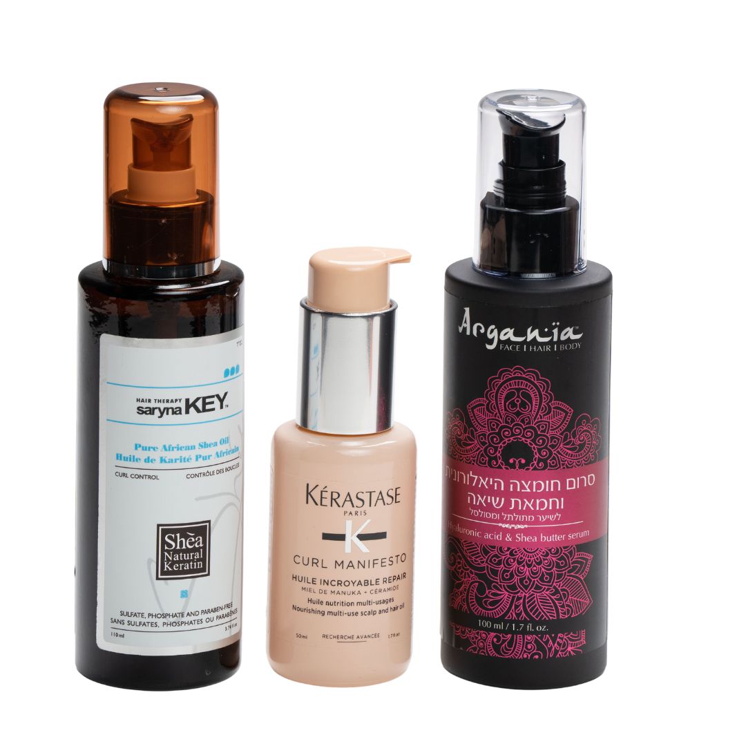 ���� ����� ������