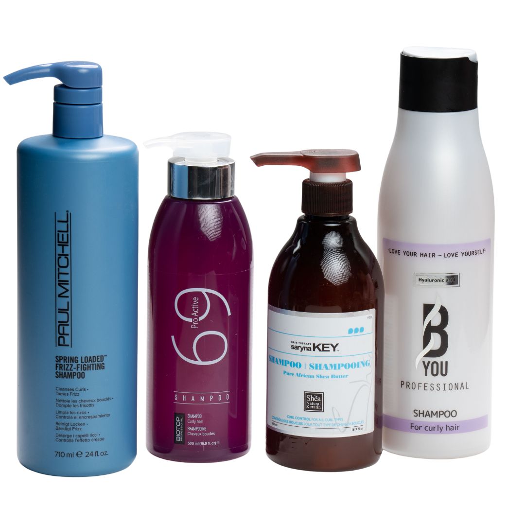 ���� ����� ������