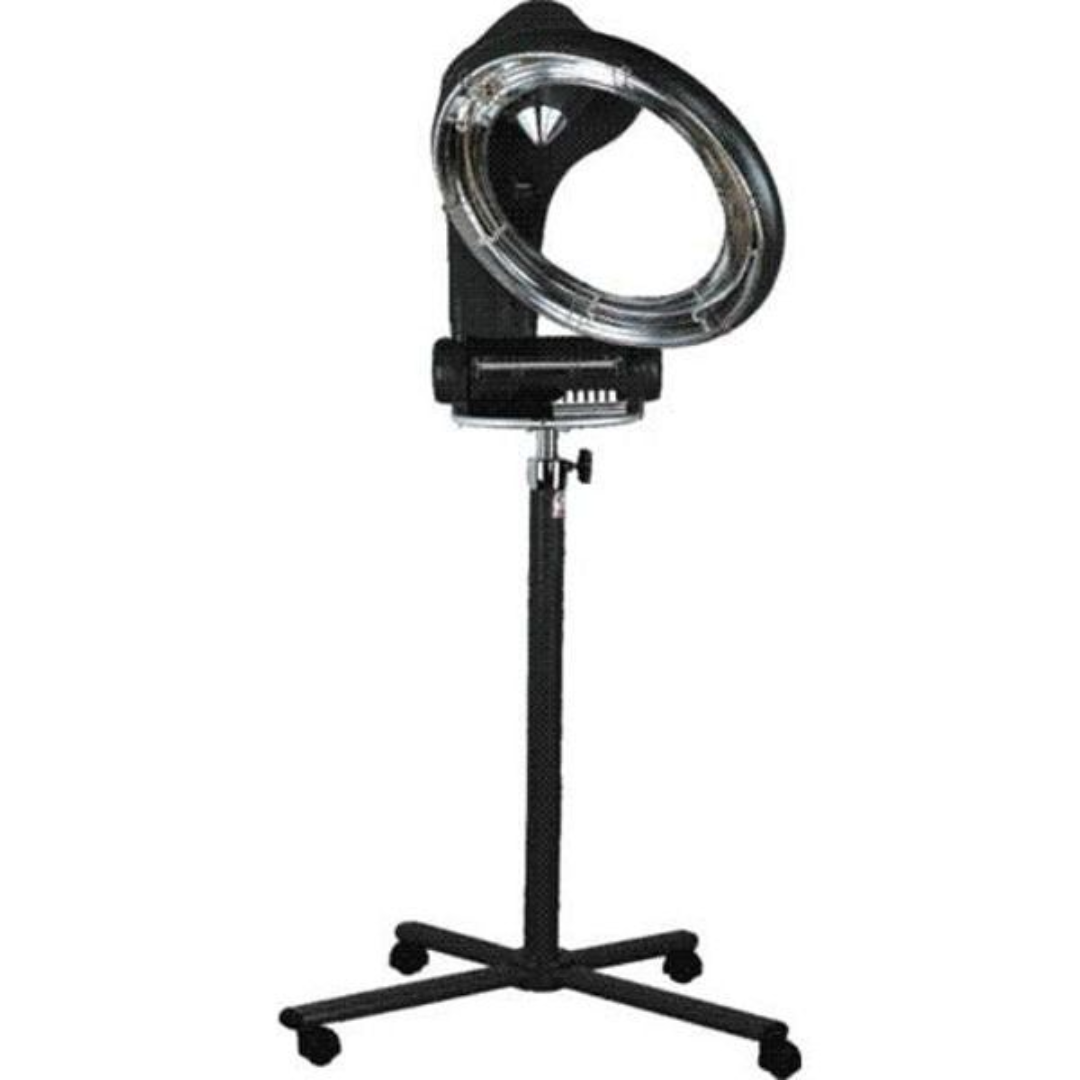 ����� ���� �� ���