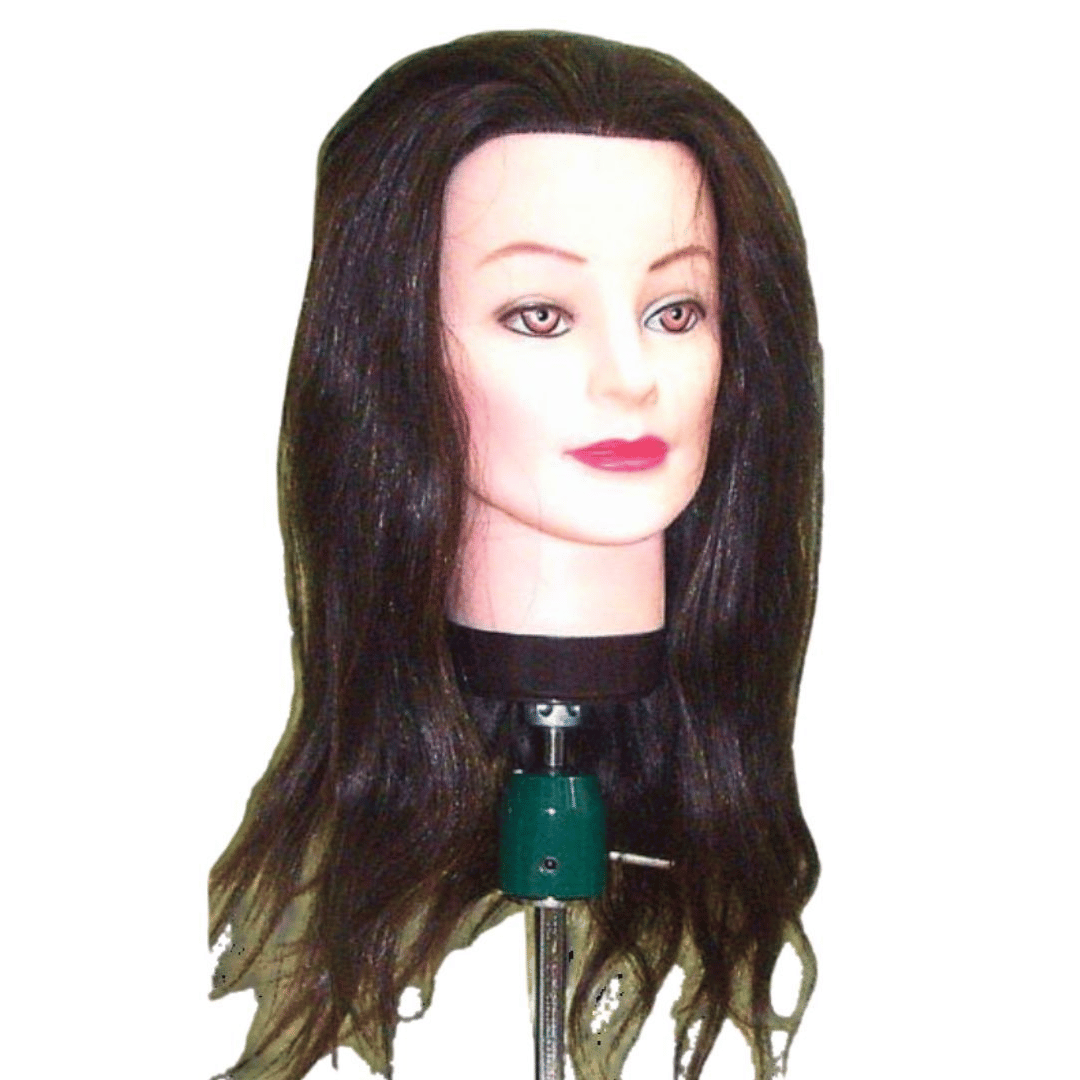 ���� ����� ��������