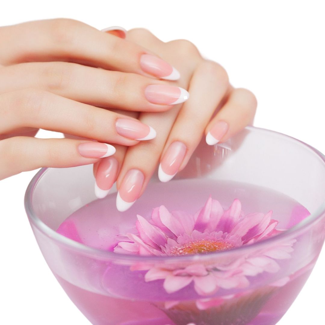 ����� ���������